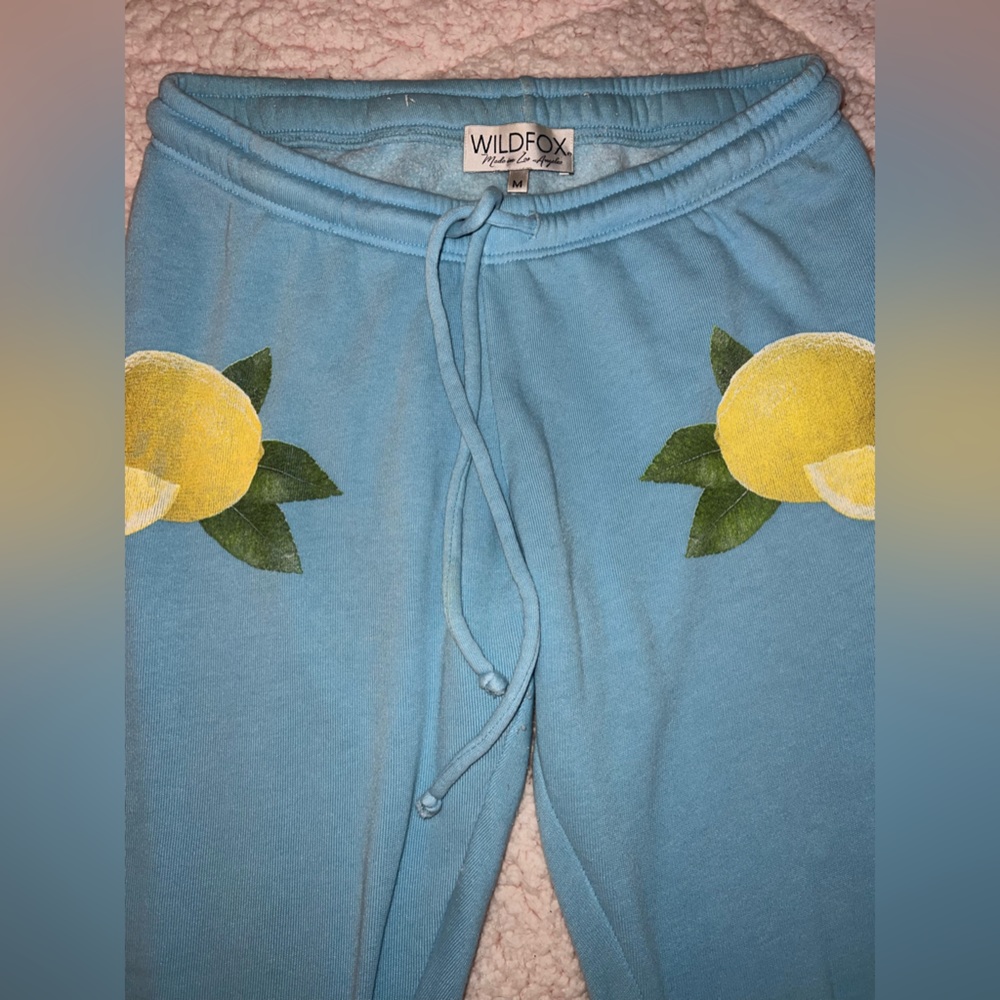 Wildfox Sweatpants